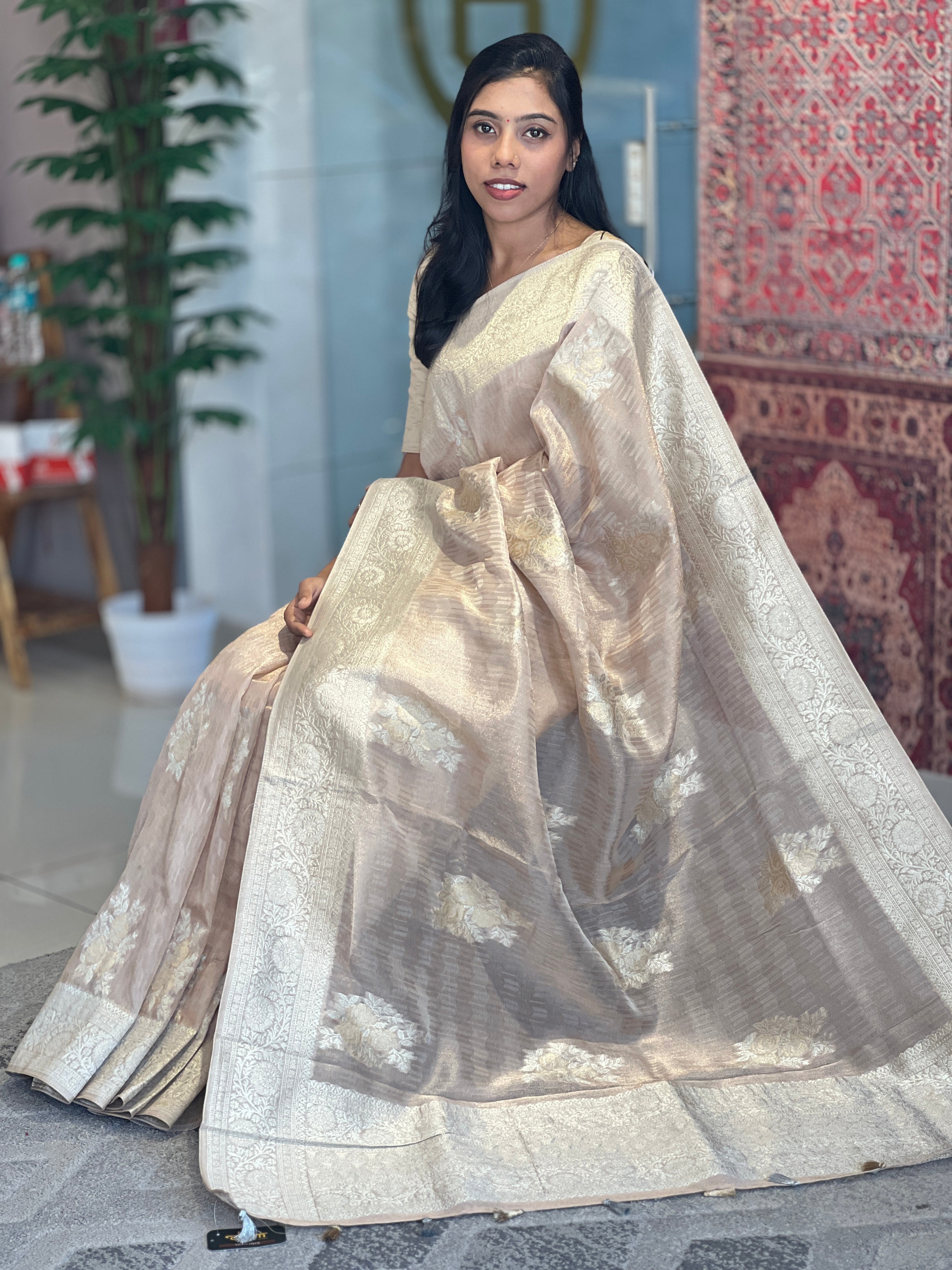 Banarasi Woven Tissue Organza Saree | DVS165
