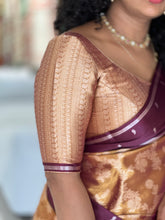 Banarasi Weaved Tissue Organza Saree | NN125