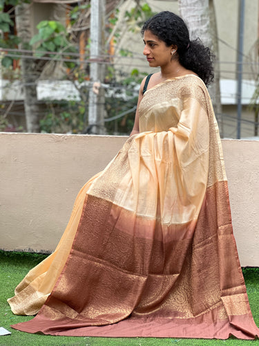 Rich Banarasi Bhagalpuri Linen Saree | SK143