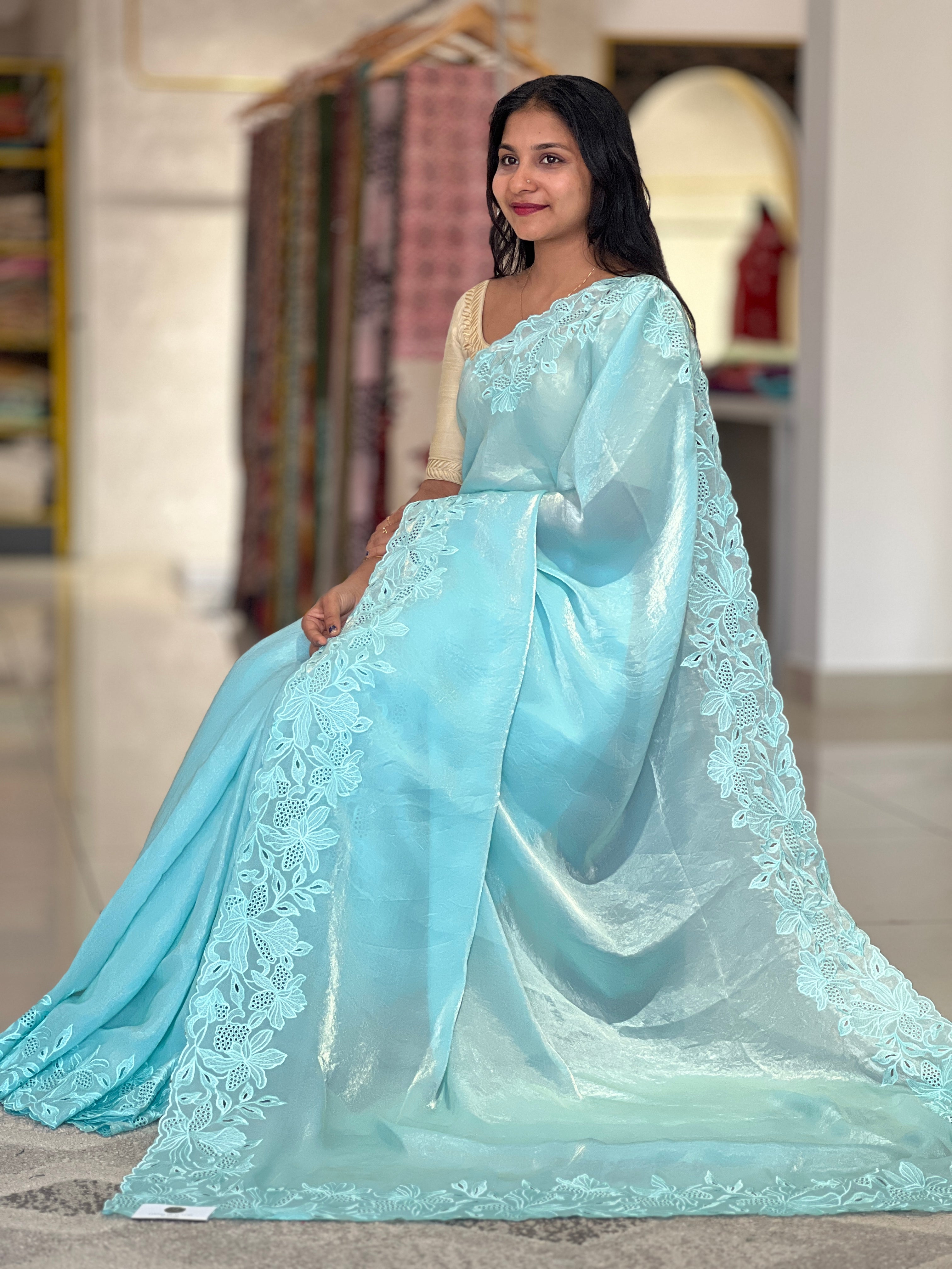 Cut-work Detailed Nylon Organza Saree | BLD488