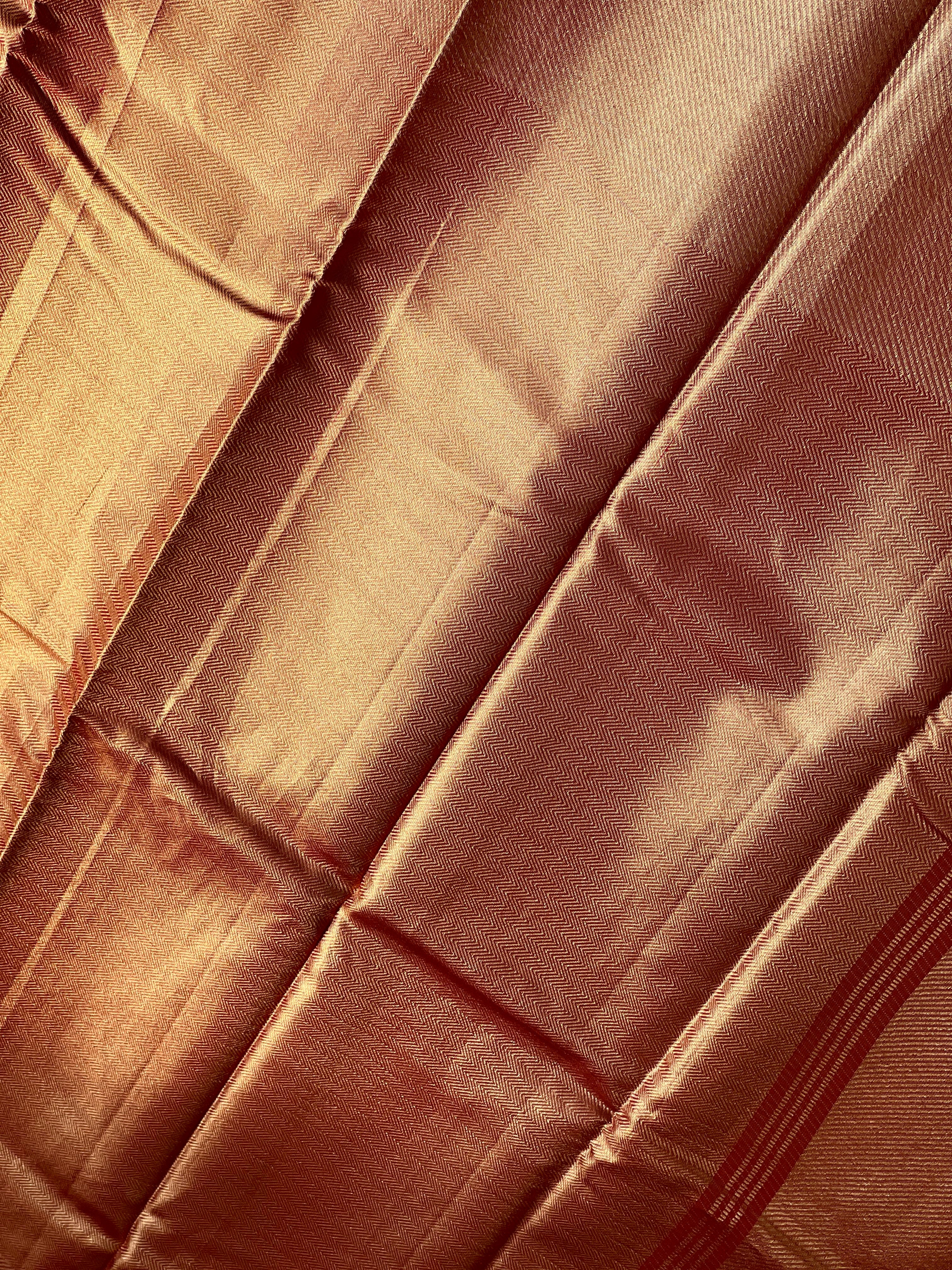 Diagonal Patterned Handloom Kanchipuram Saree | OM227