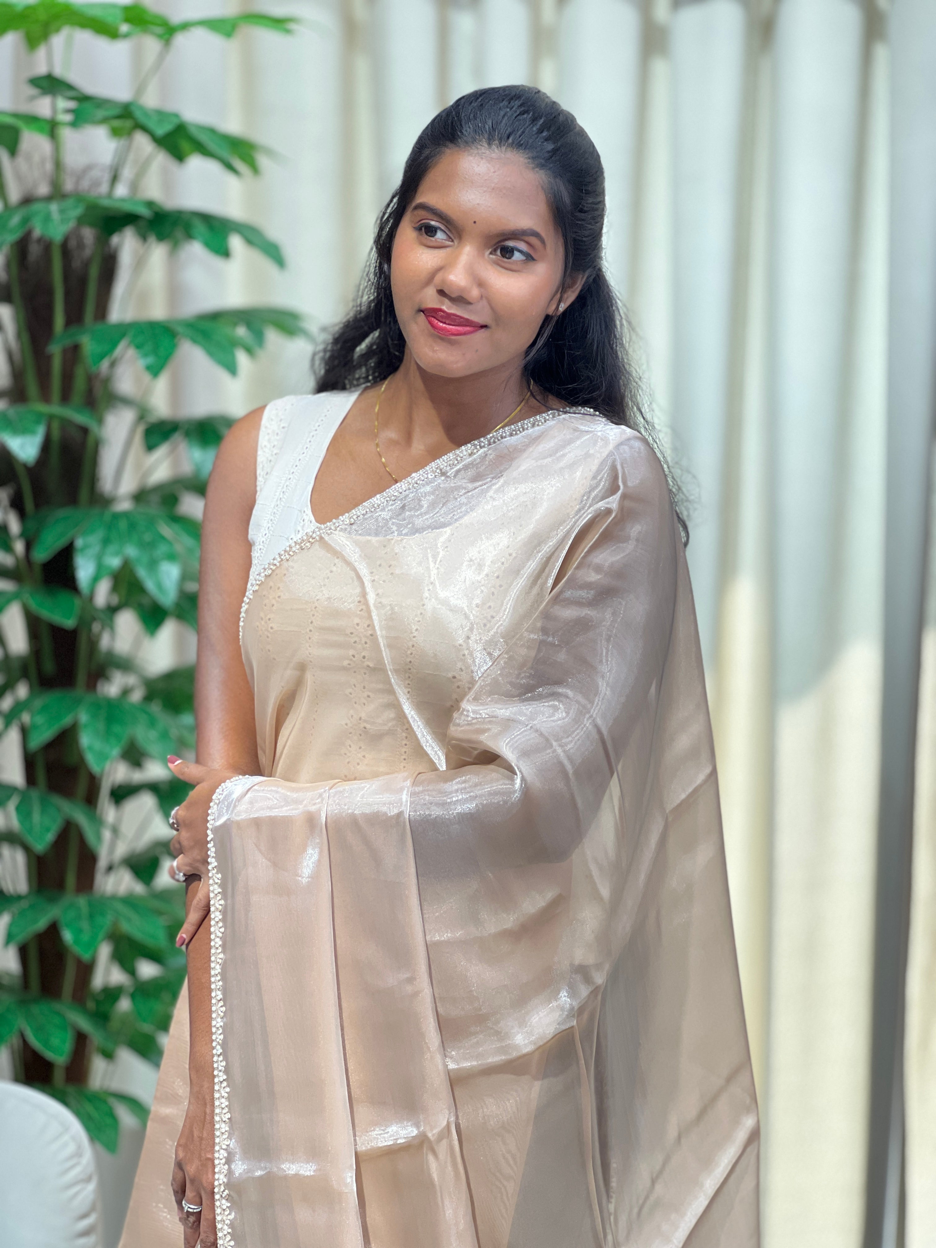 Cut Beads & Sugar Beads Detailed Shimmer Organza Saree | DNT1007