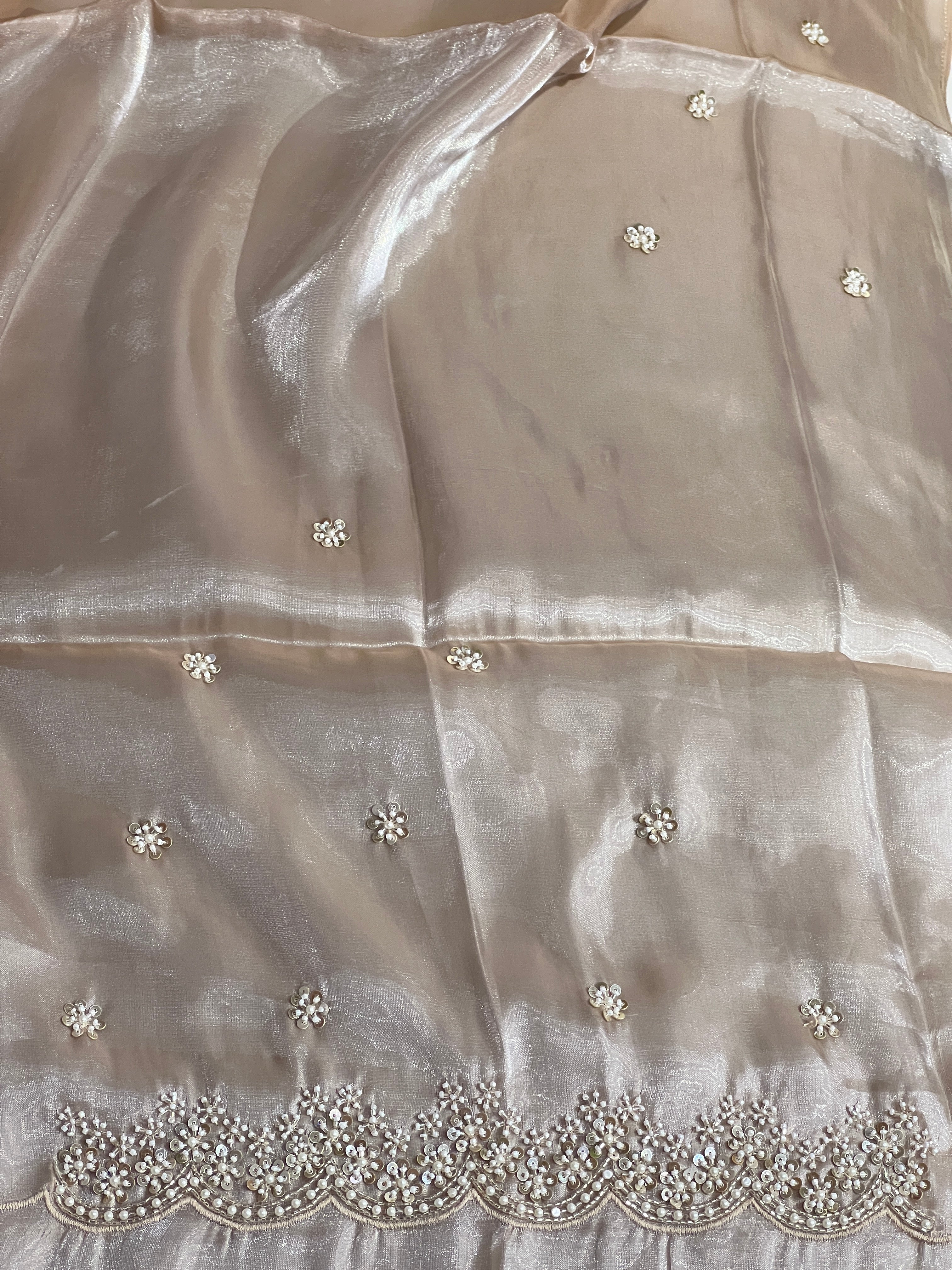 Cut Beads & Sugar Beads Detailed Shimmer Organza Saree | DNT1007