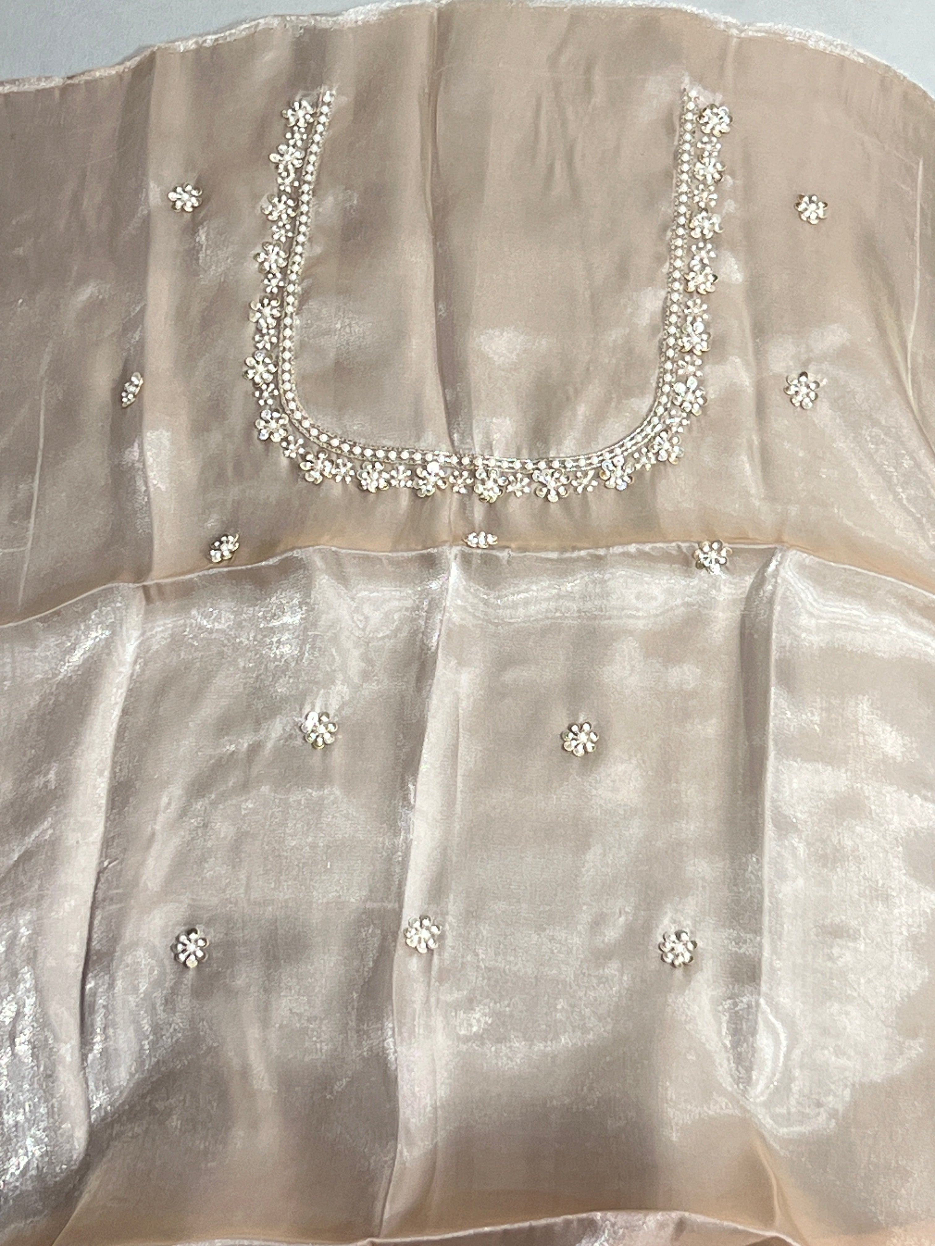 Cut Beads & Sugar Beads Detailed Shimmer Organza Saree | DNT1007