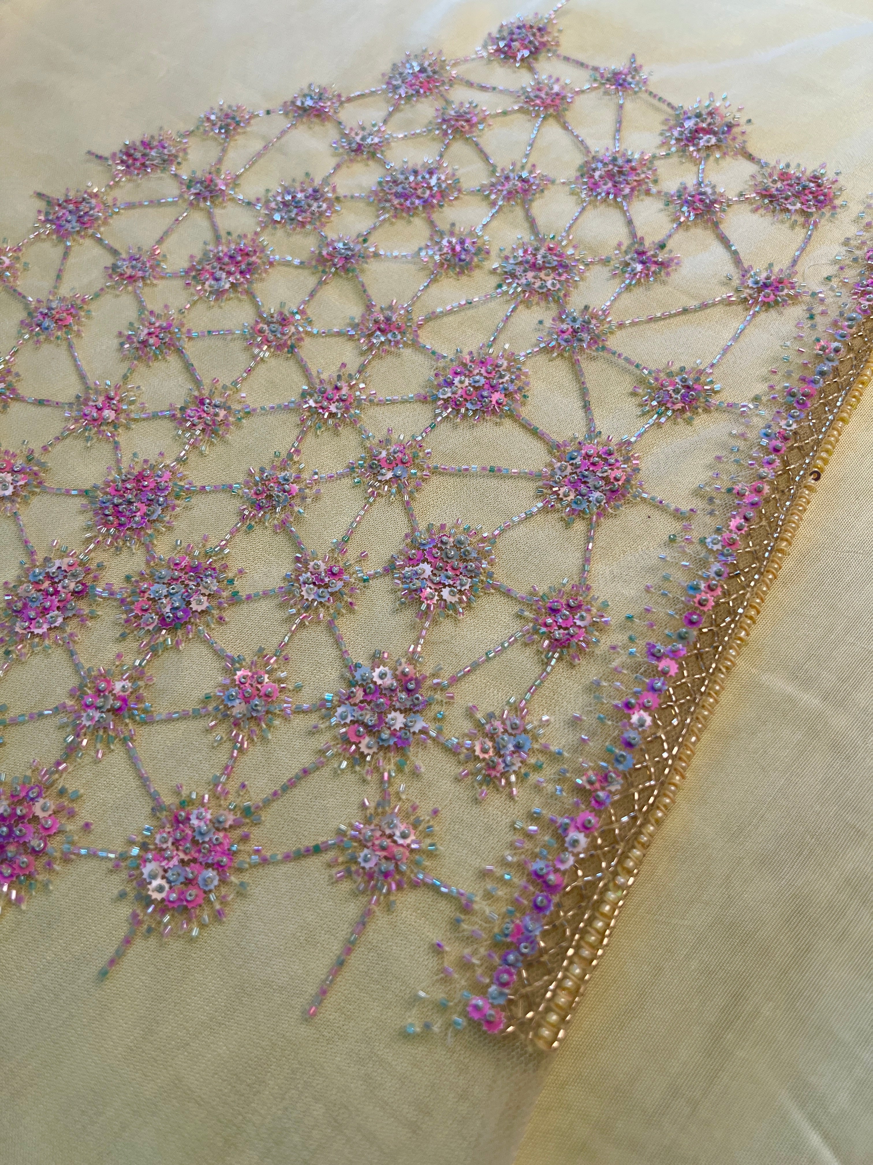Beads Work Embroidered Net Saree | DSA104