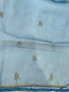Hand Work Design Glass Organza Saree | SBP940