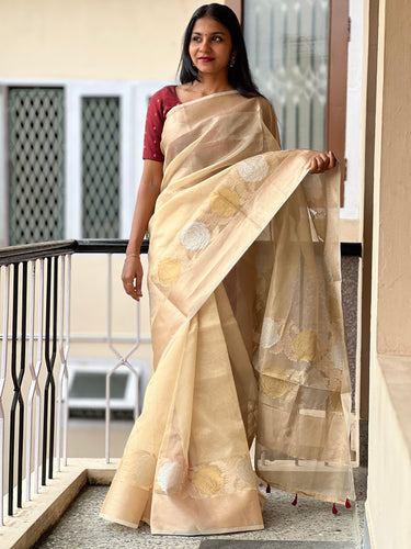 Golden And Silver Zari Weaving Tissue Organza Saree | DVS133