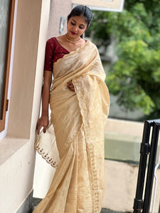 Mirror Work Pattern Crush Tissue Saree | DVS128