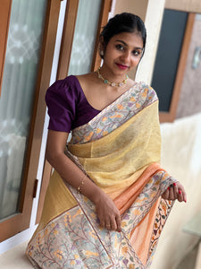 Embroidery Border Crush Tissue Organza Saree | SMC129