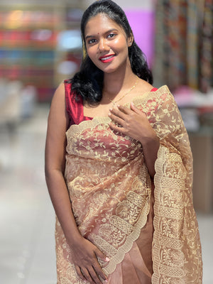 Floral Jaal Embroidery Tissue Organza Saree  | BLD1075
