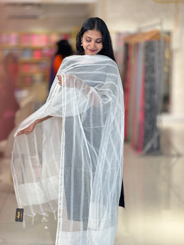 Stripe Patterned Organza Dupatta | FC108