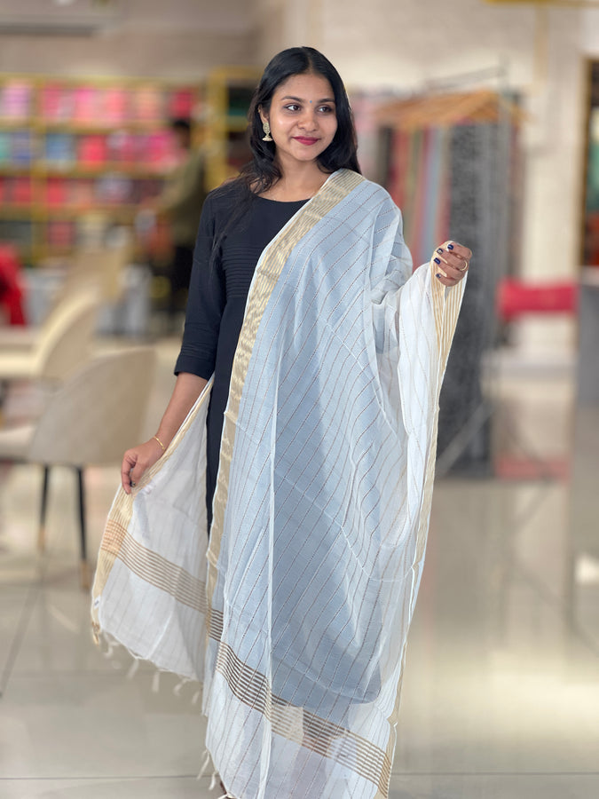 Stripe Patterned Organza Dupatta | FC113