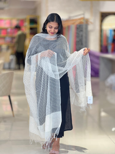 Stripe Patterned Organza Dupatta | FC107