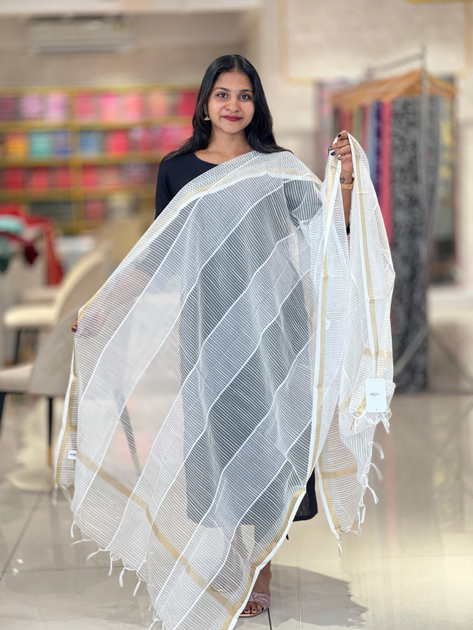 Stripe Patterned Organza Dupatta | FC110