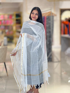 Stripe Patterned Organza Dupatta | FC111