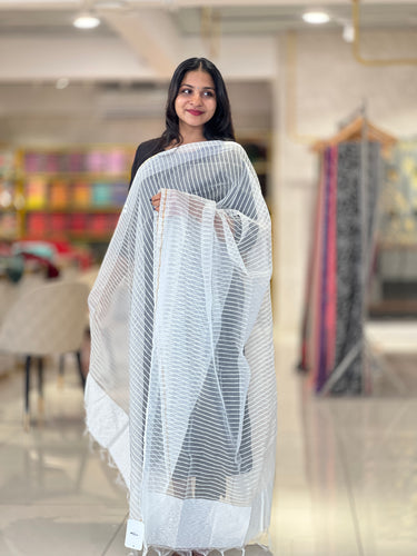 Stripe Patterned Organza Dupatta | FC106