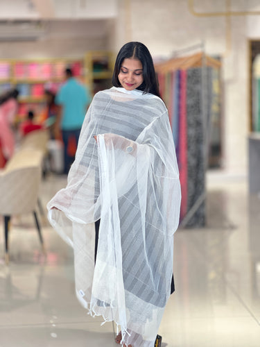 Stripe Patterned Organza Dupatta | FC109