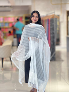 Stripe Patterned Organza Dupatta | FC109