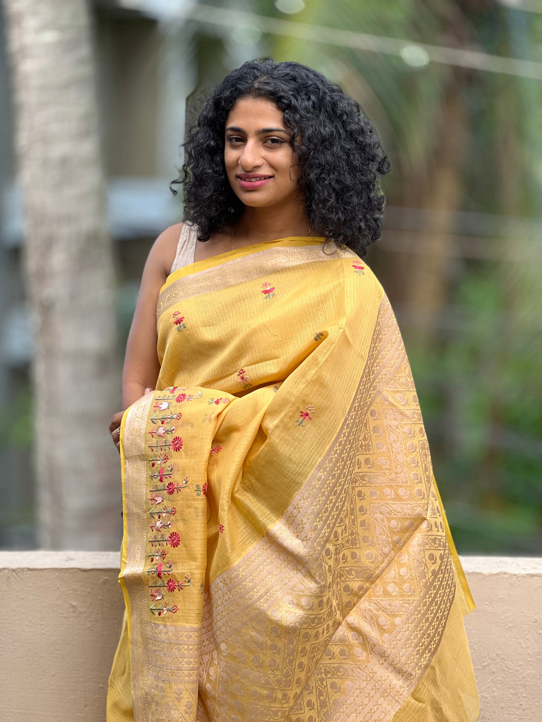 Check Organza Saree With Banarasi Woven Border | RR162