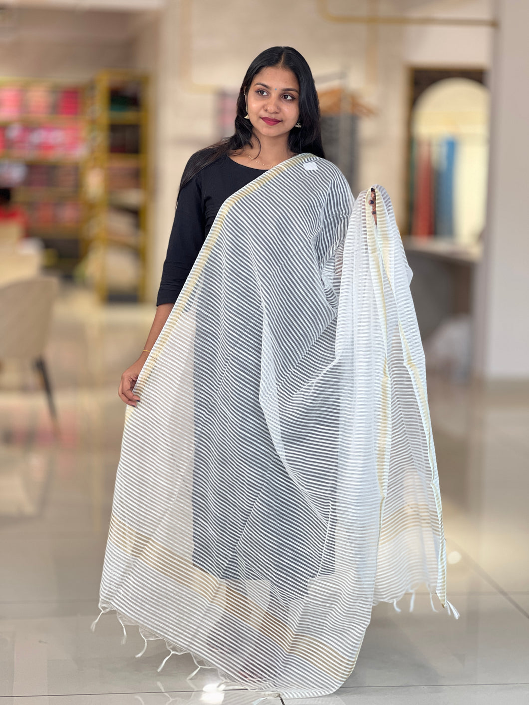 Stripe Patterned Organza Dupatta | FC112