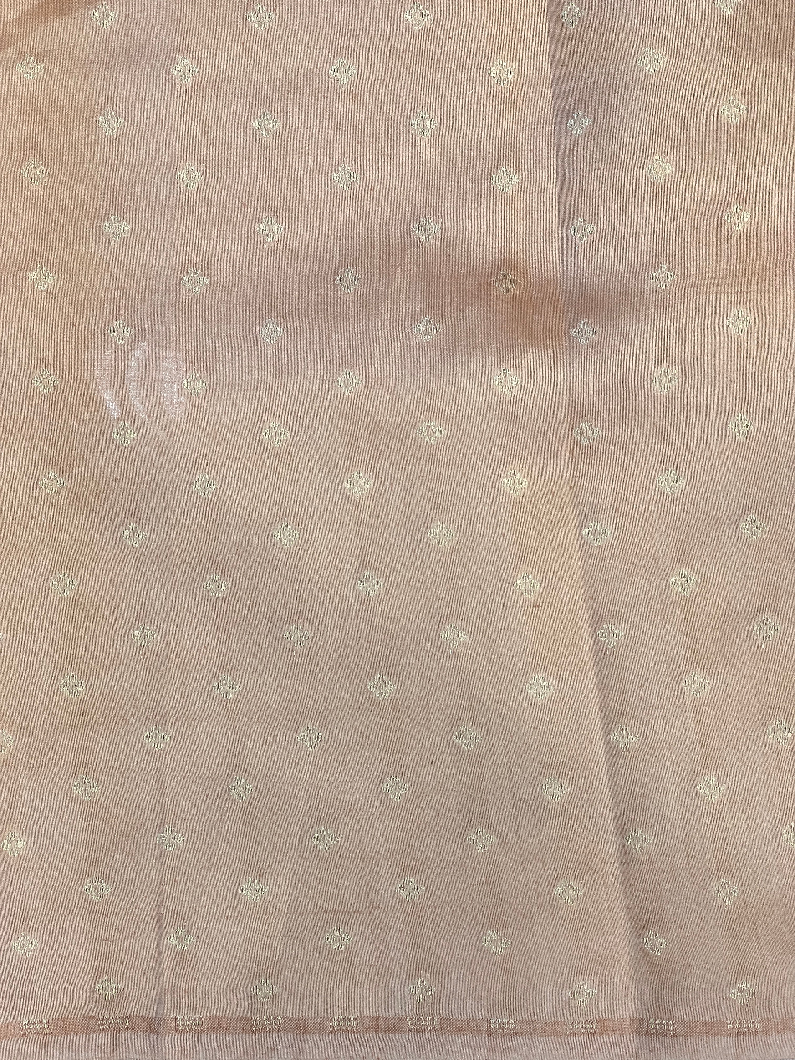 Floral Cross Stitch Embroidery Crushed Shimmer Organza Saree | RGD999R