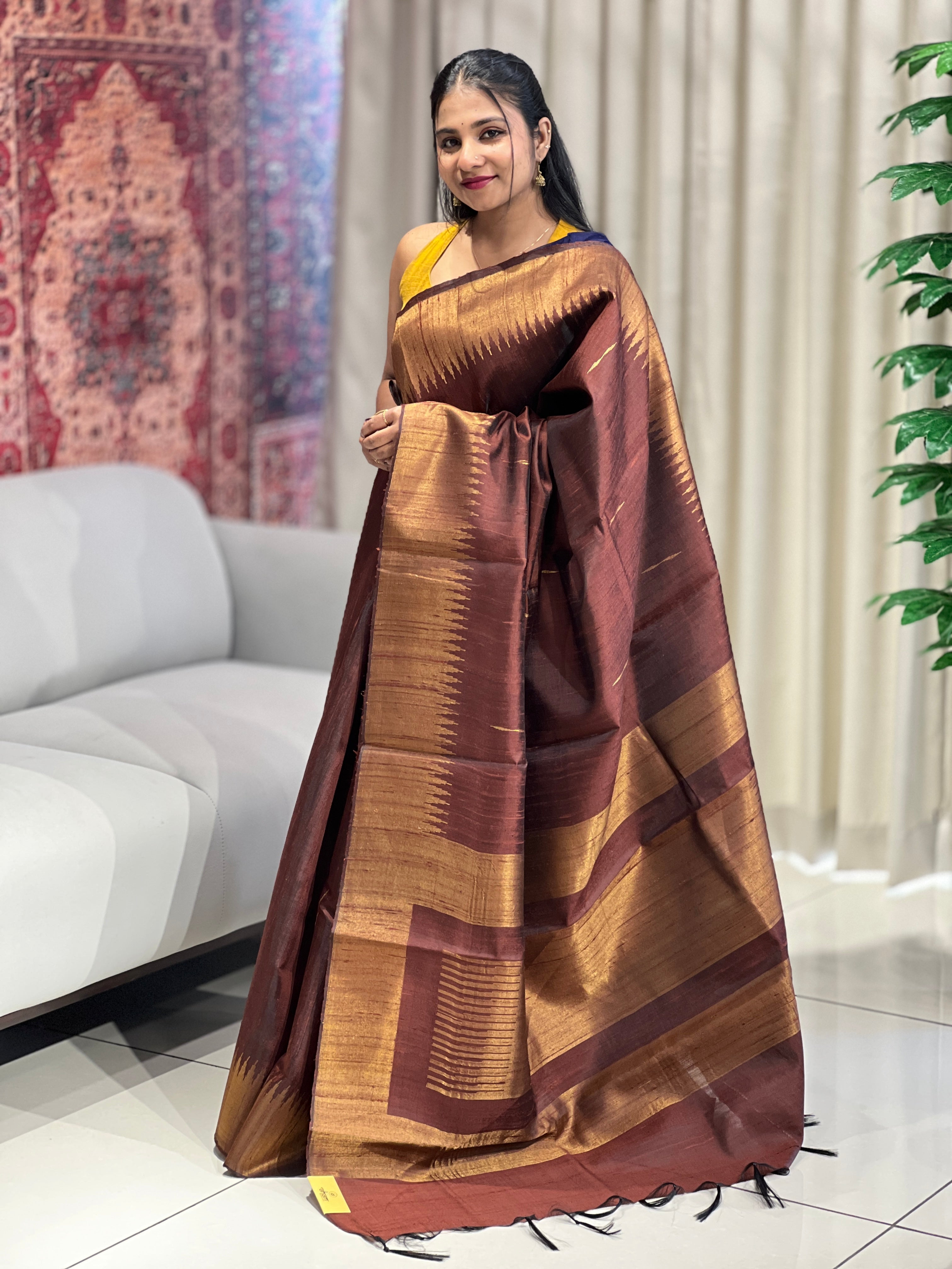 Traditional Temple Border Detailed Raw Silk Saree | HS1263