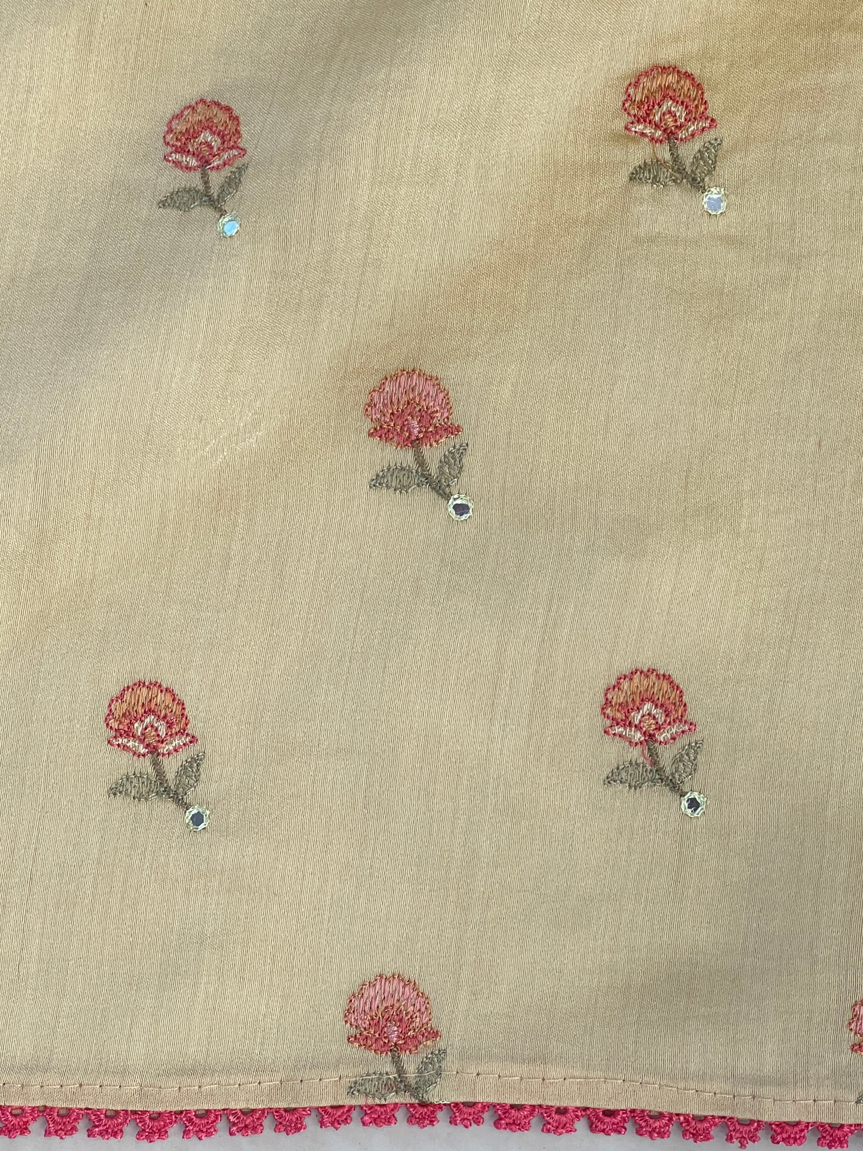 Floral Cutwork Embroidery Crushed Tissue Organza Saree | RGD980R