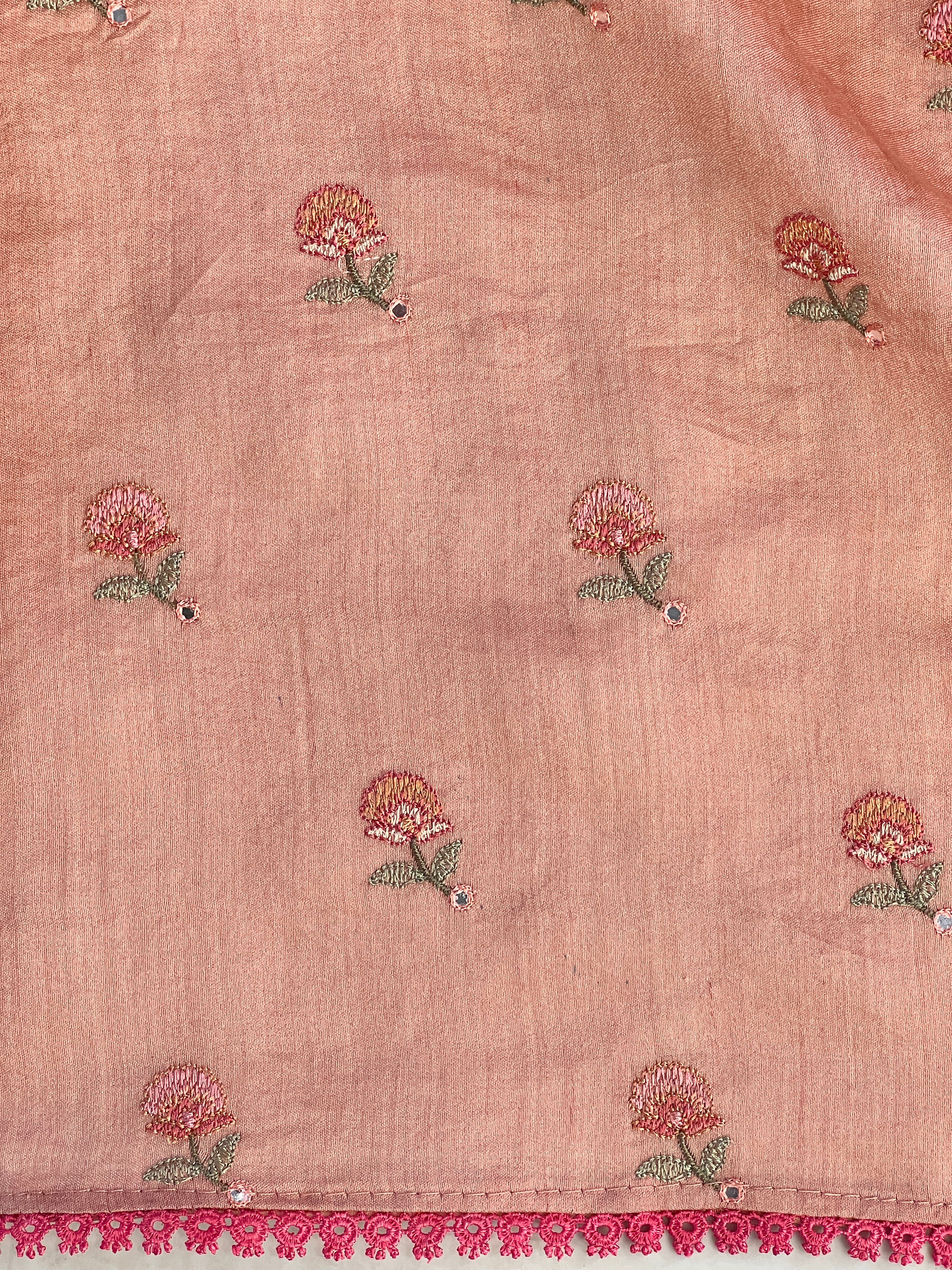 Floral Cutwork Embroidery Crushed Tissue Organza Saree | RGD981R