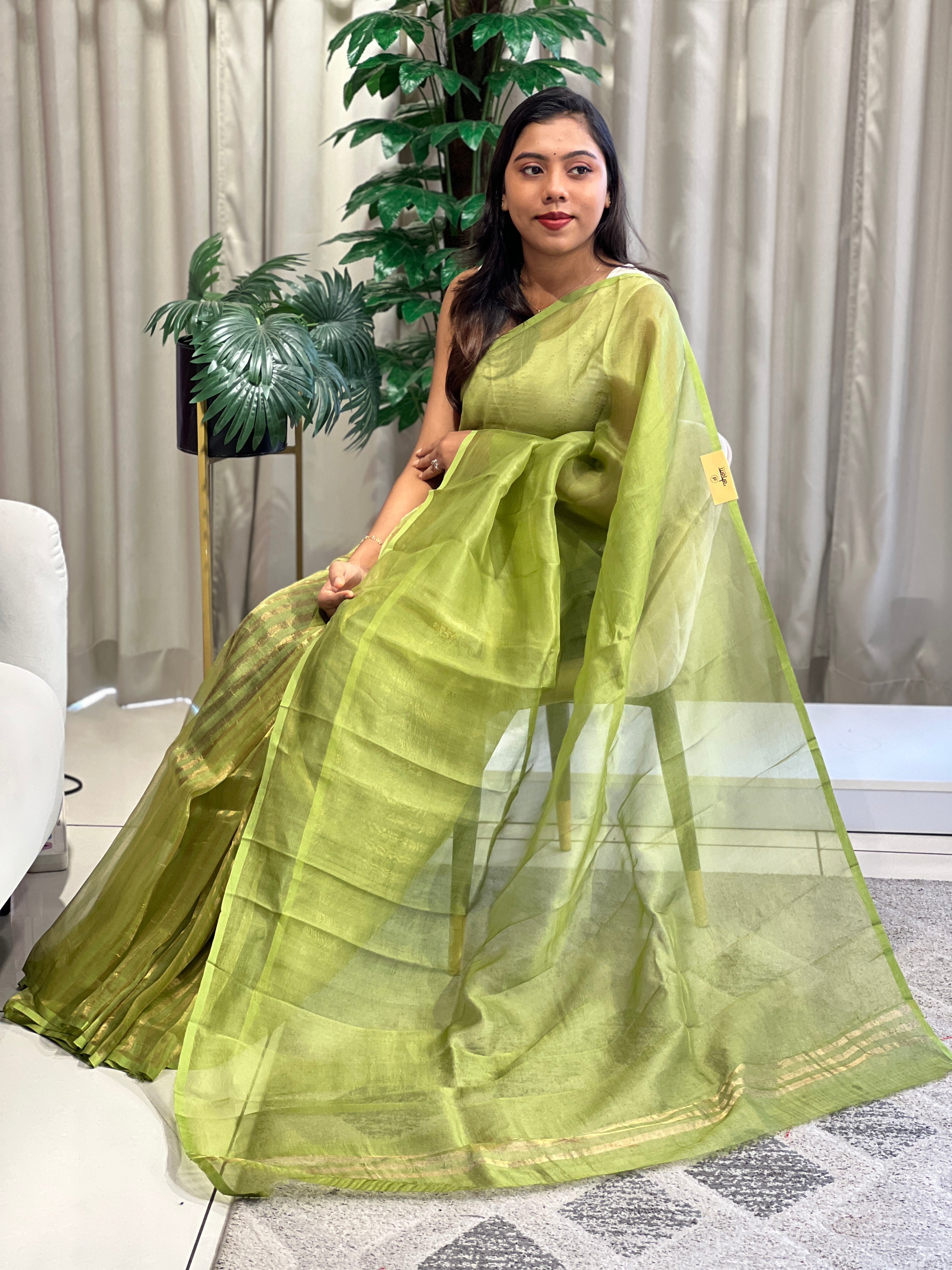 Tissue Line Woven Organza Saree | MM581