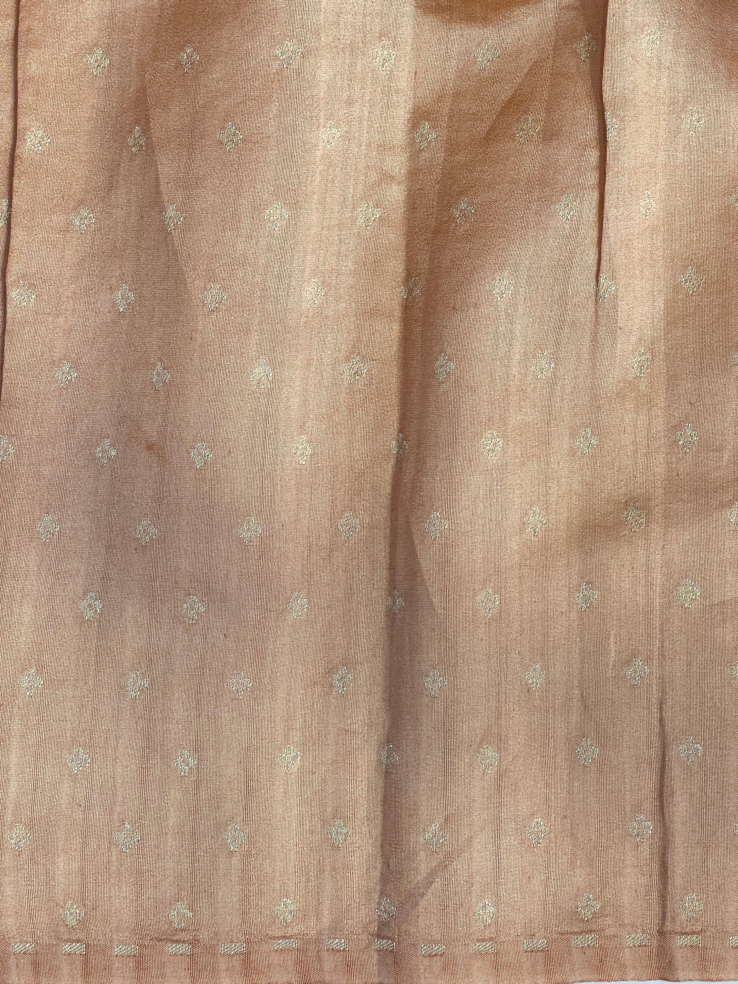 Floral Cutwork Embroidery Crushed Organza Saree | RGD1000R