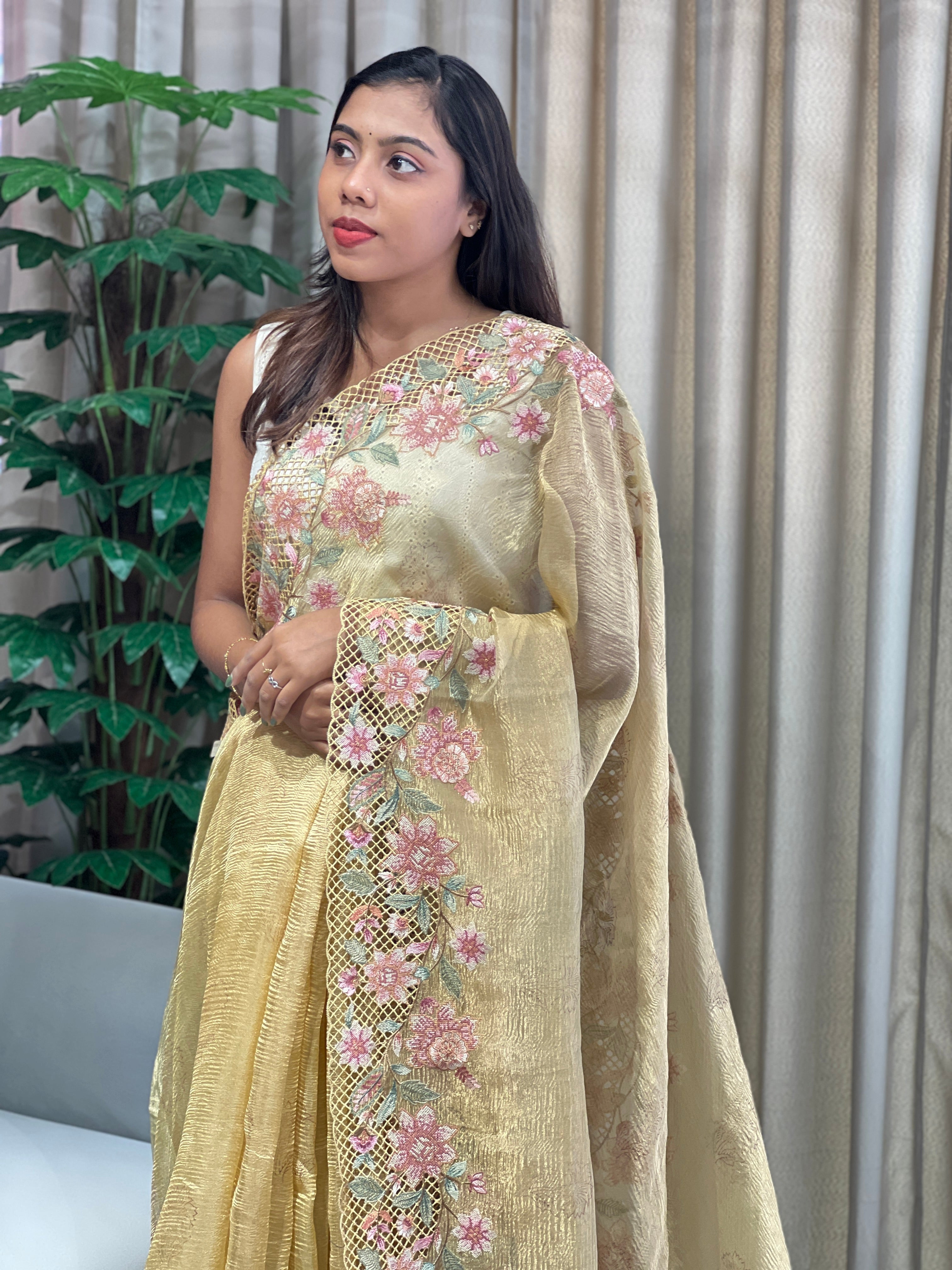 Floral Cutwork Embroidery Crushed Tissue Organza Saree | RGD1004R