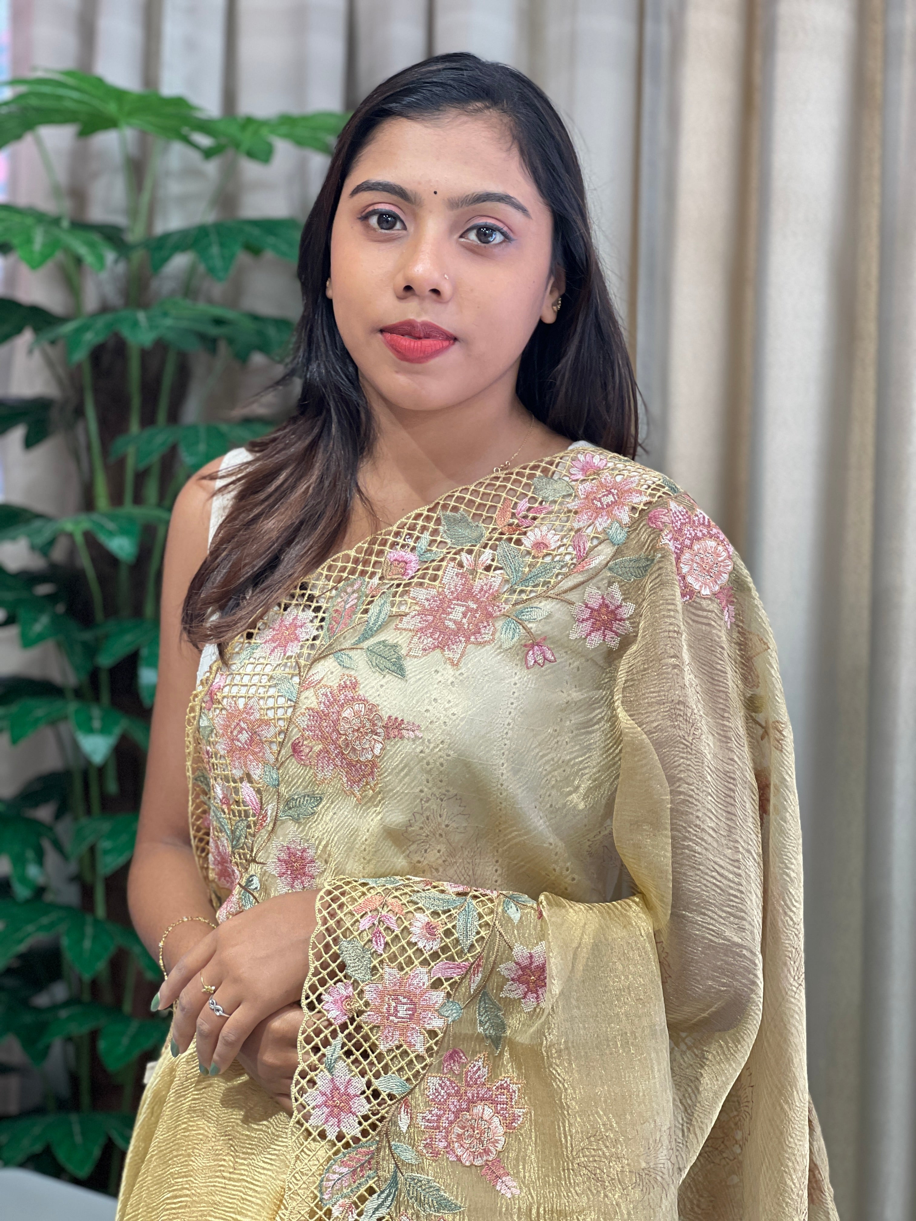 Floral Cutwork Embroidery Crushed Tissue Organza Saree | RGD1004R