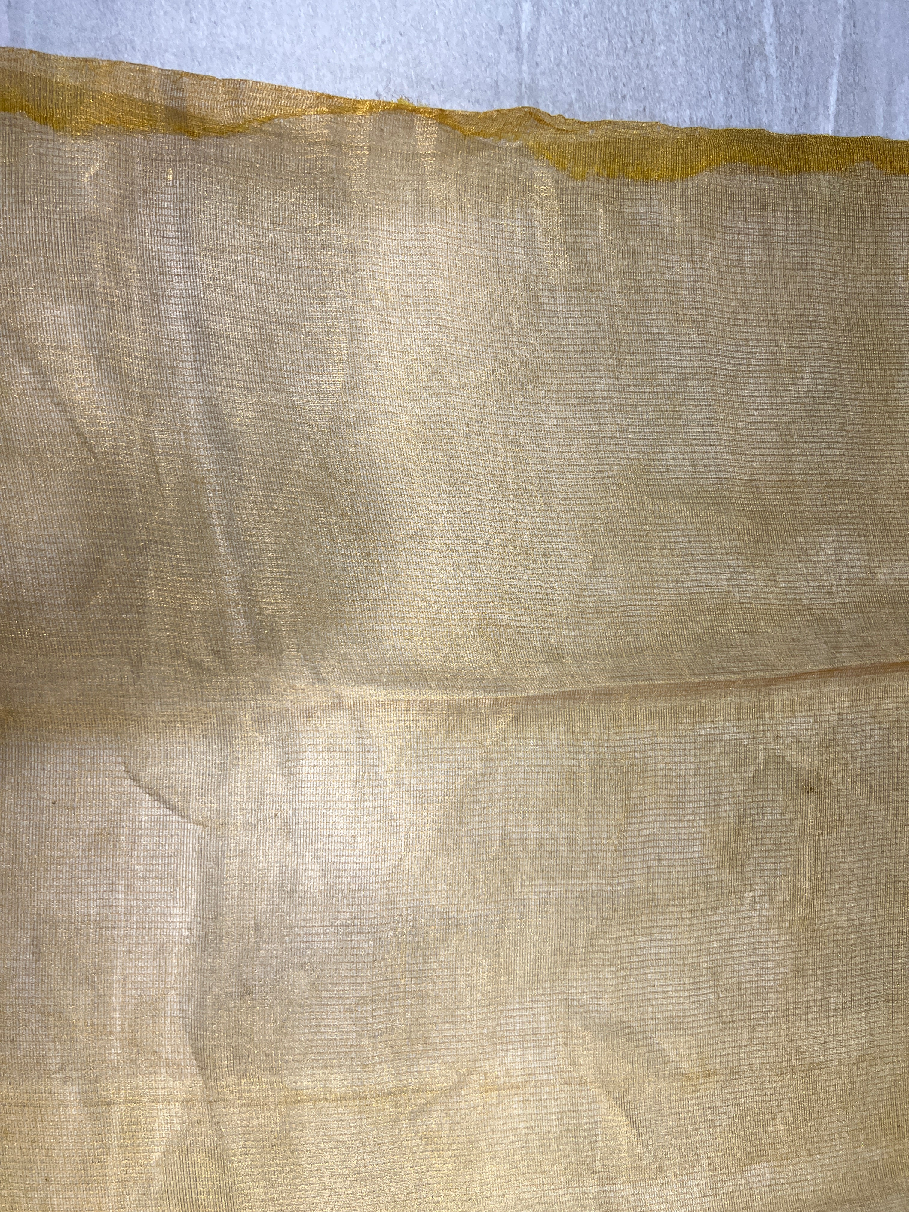 Solid Patterned Tussar Tissue Saree | HS1280
