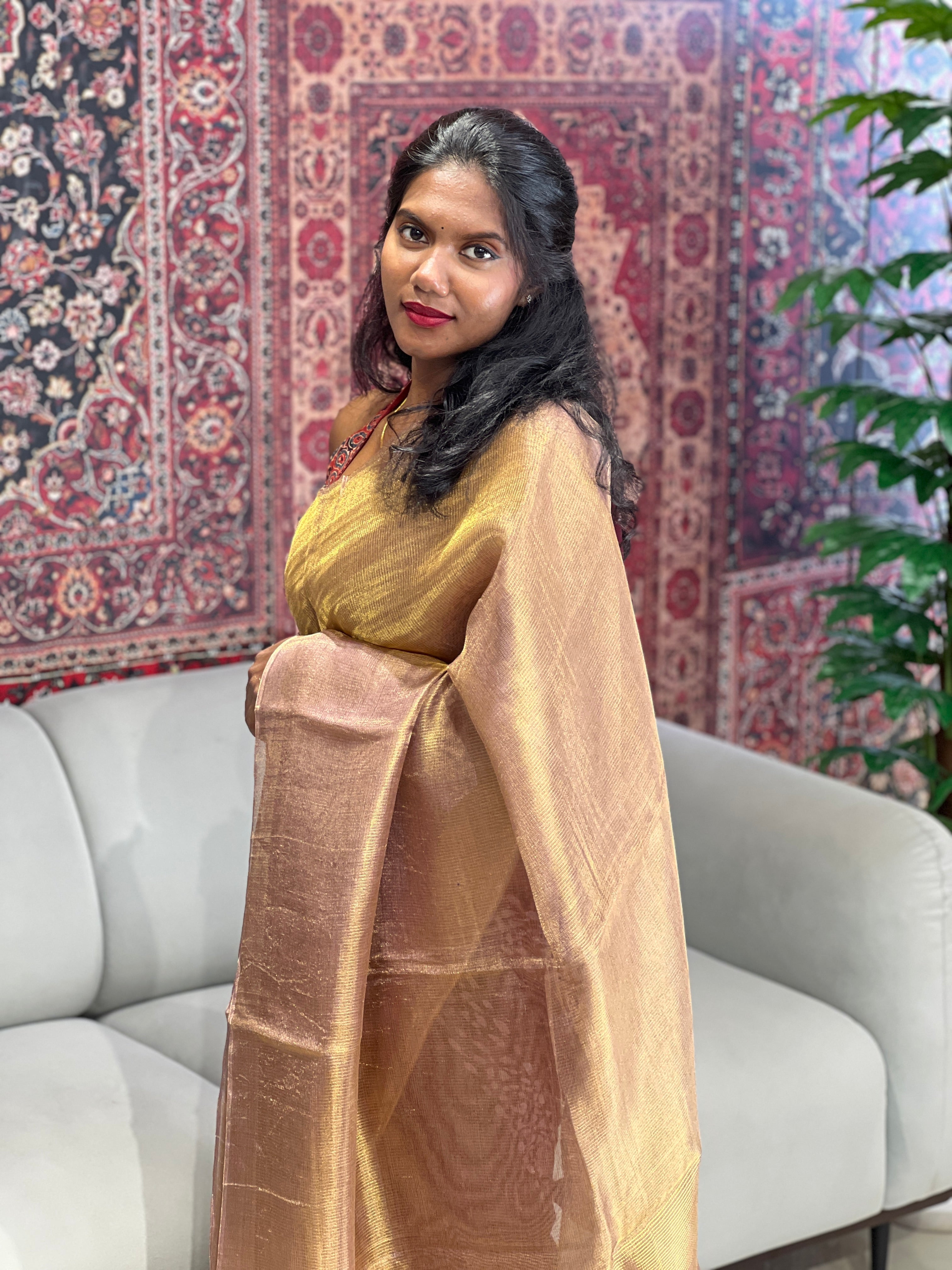 Solid Patterned Tussar Tissue Saree | HS1281