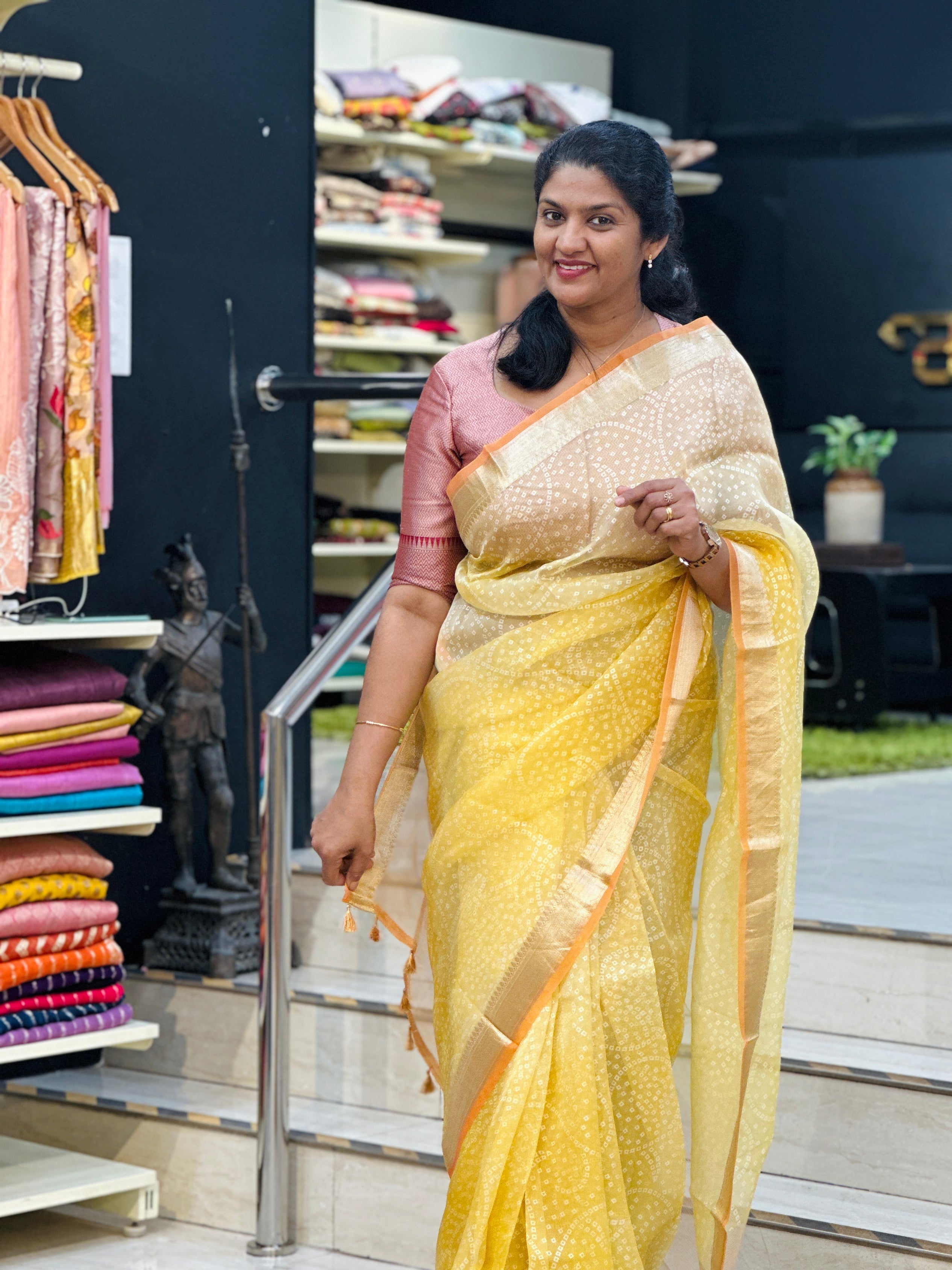 Tissue Check Pattern Tussar Saree | HS1448