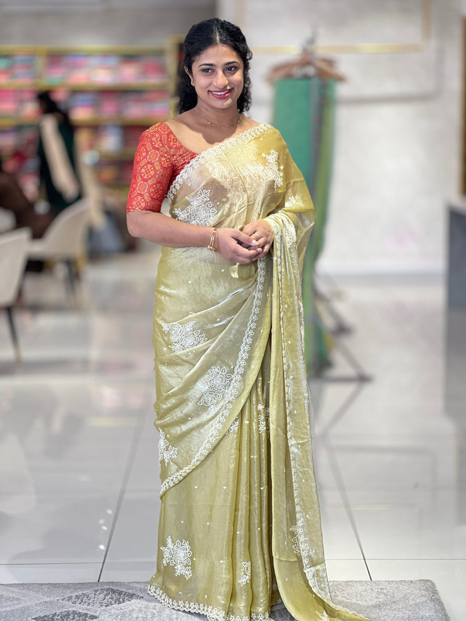 Point Embroidery Nylon Organza Saree | BLD763