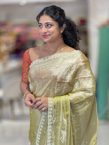 Point Embroidery Nylon Organza Saree | BLD763