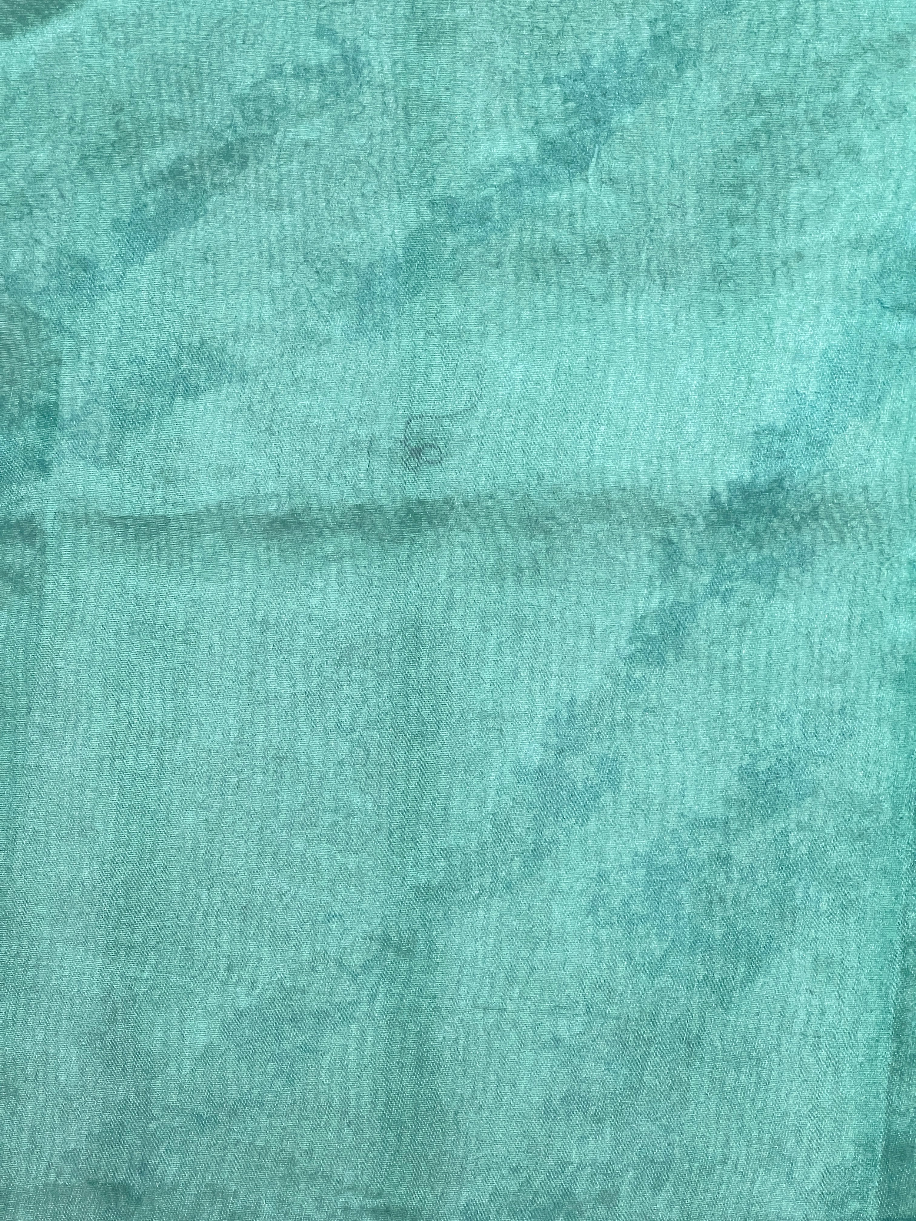 Floral Embroidered Organza Saree |  ZSS454