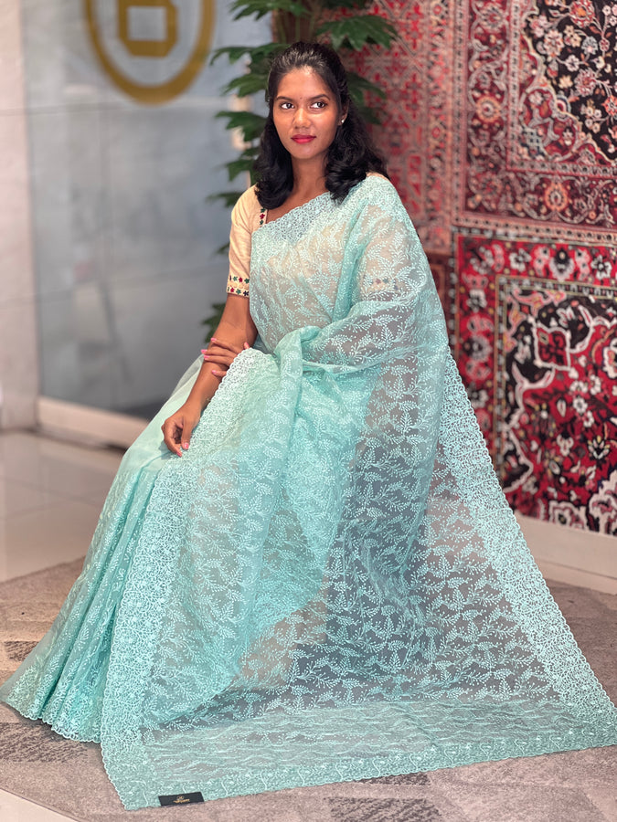 Self Colour Emboridery Organza Saree | SBP748