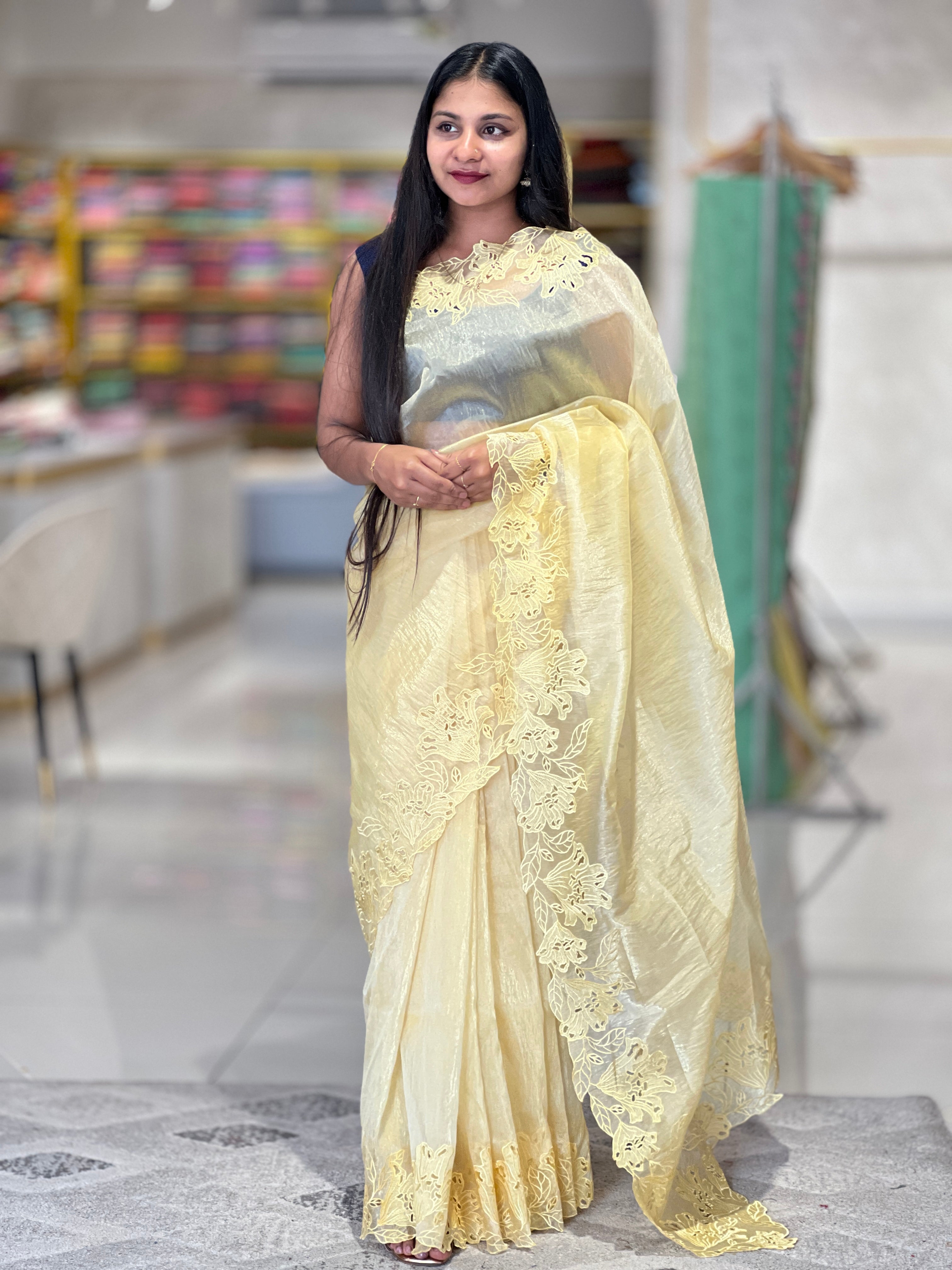 Cut-work Detailed Nylon Organza Saree | BLD524