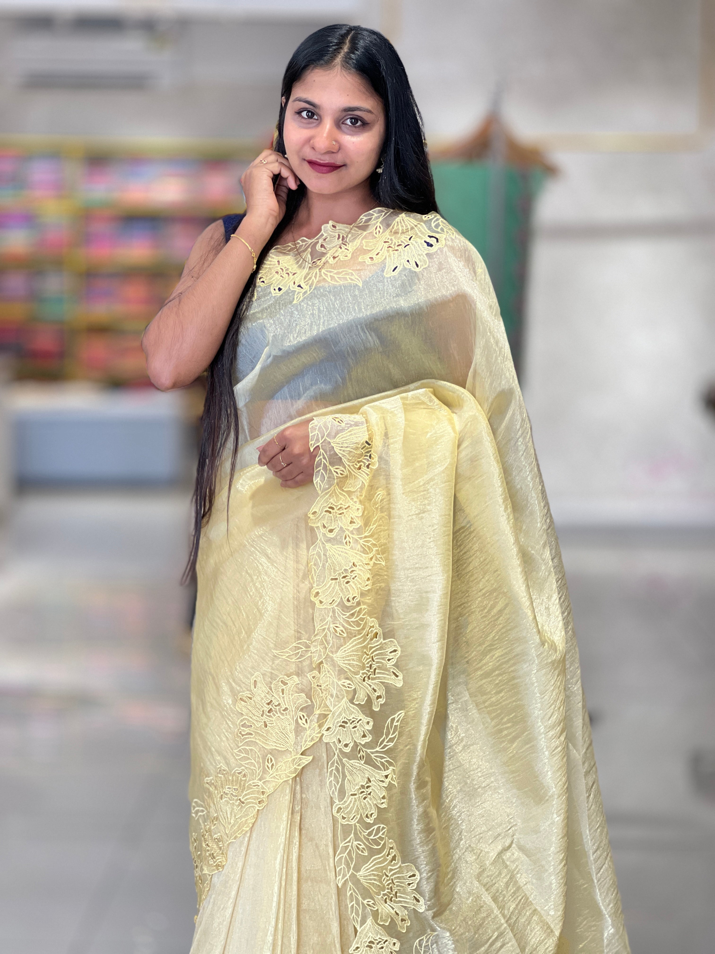 Cut-work Detailed Nylon Organza Saree | BLD524