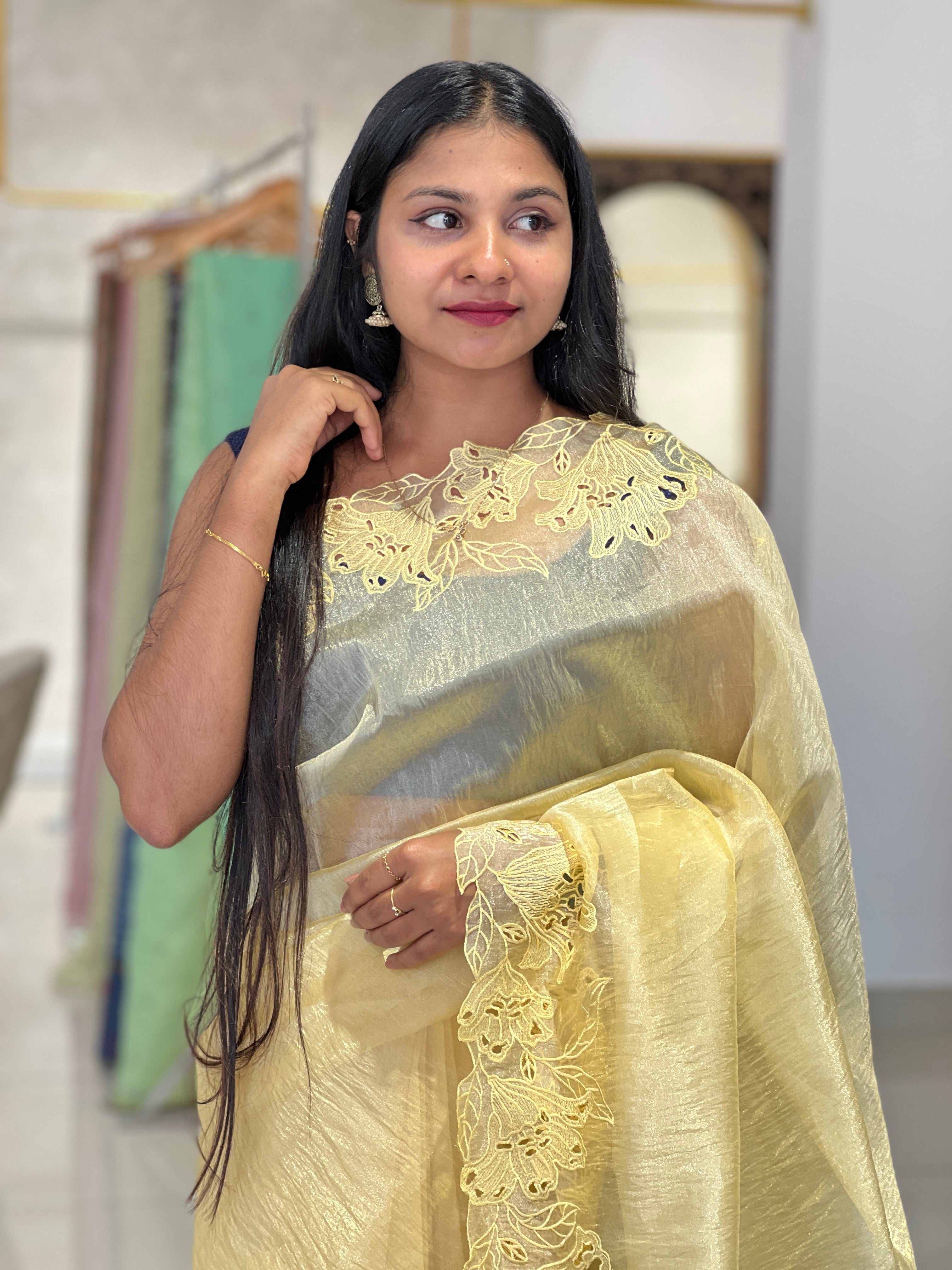 Cut-work Detailed Nylon Organza Saree | BLD524