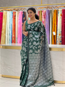 Banarasi Woven Borderless Sarees | SA165