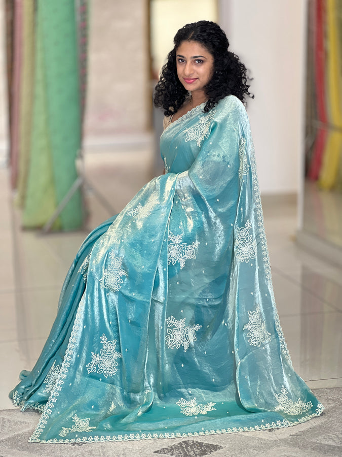 Point Embroidery Nylon Organza Saree | BLD765