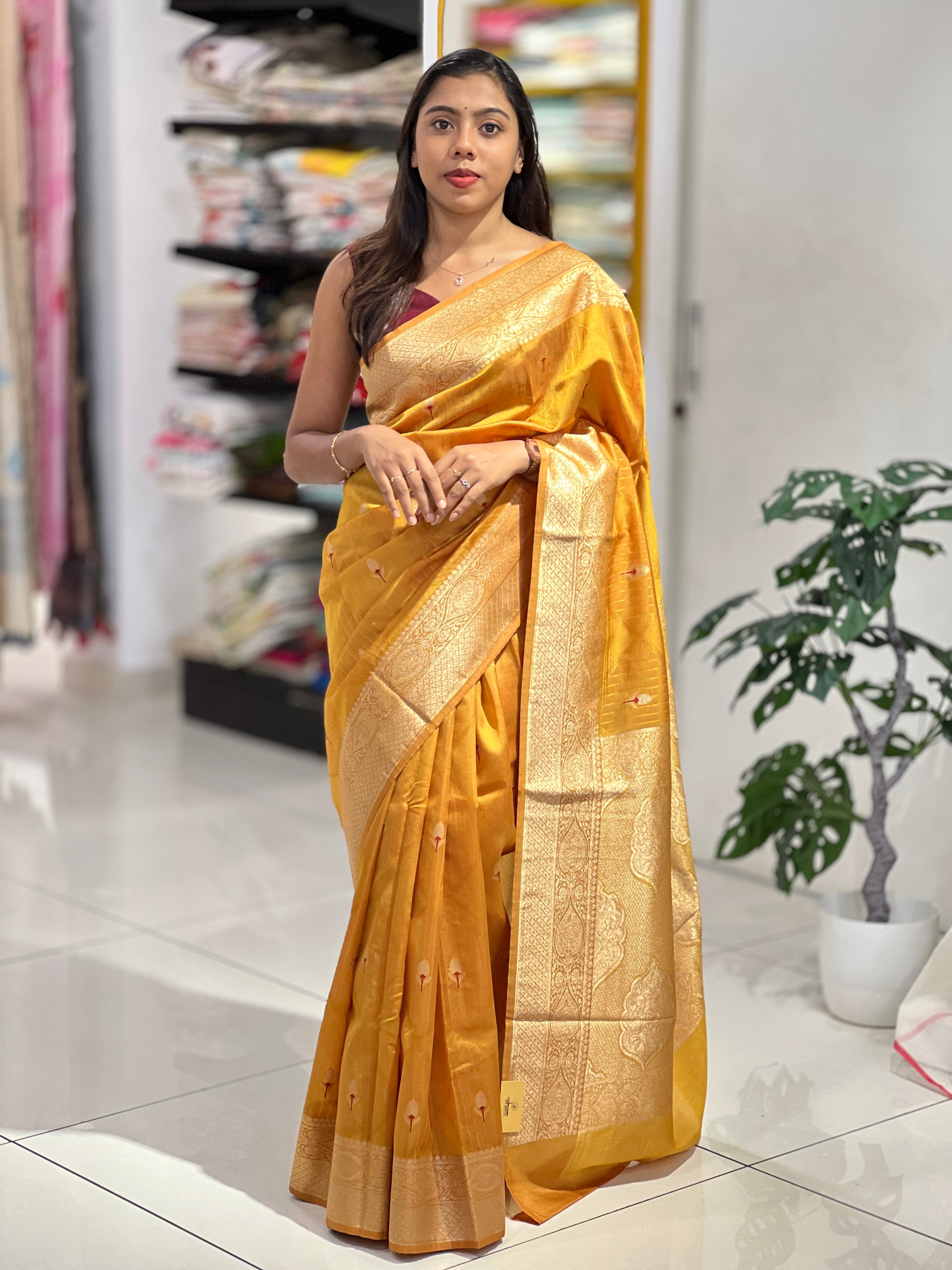 Geometric Patterned Banarasi Silk Saree | NN456