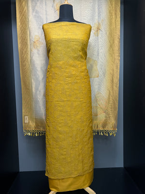 Point Embroidery Crushed Shimmer Organza Salwar Set  | MS835