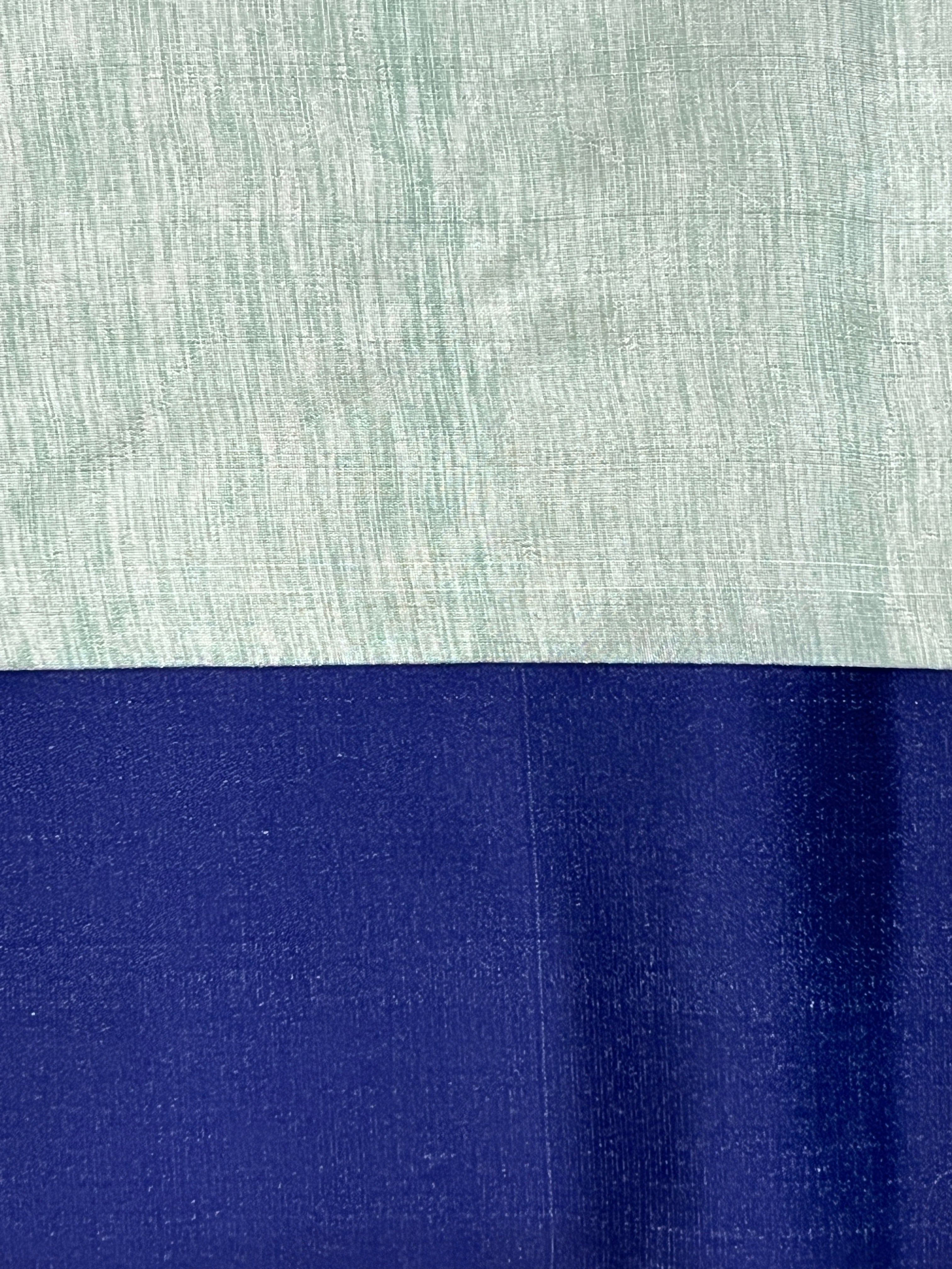 Thread & Zari Woven Tussar Finish Saree | RSF129