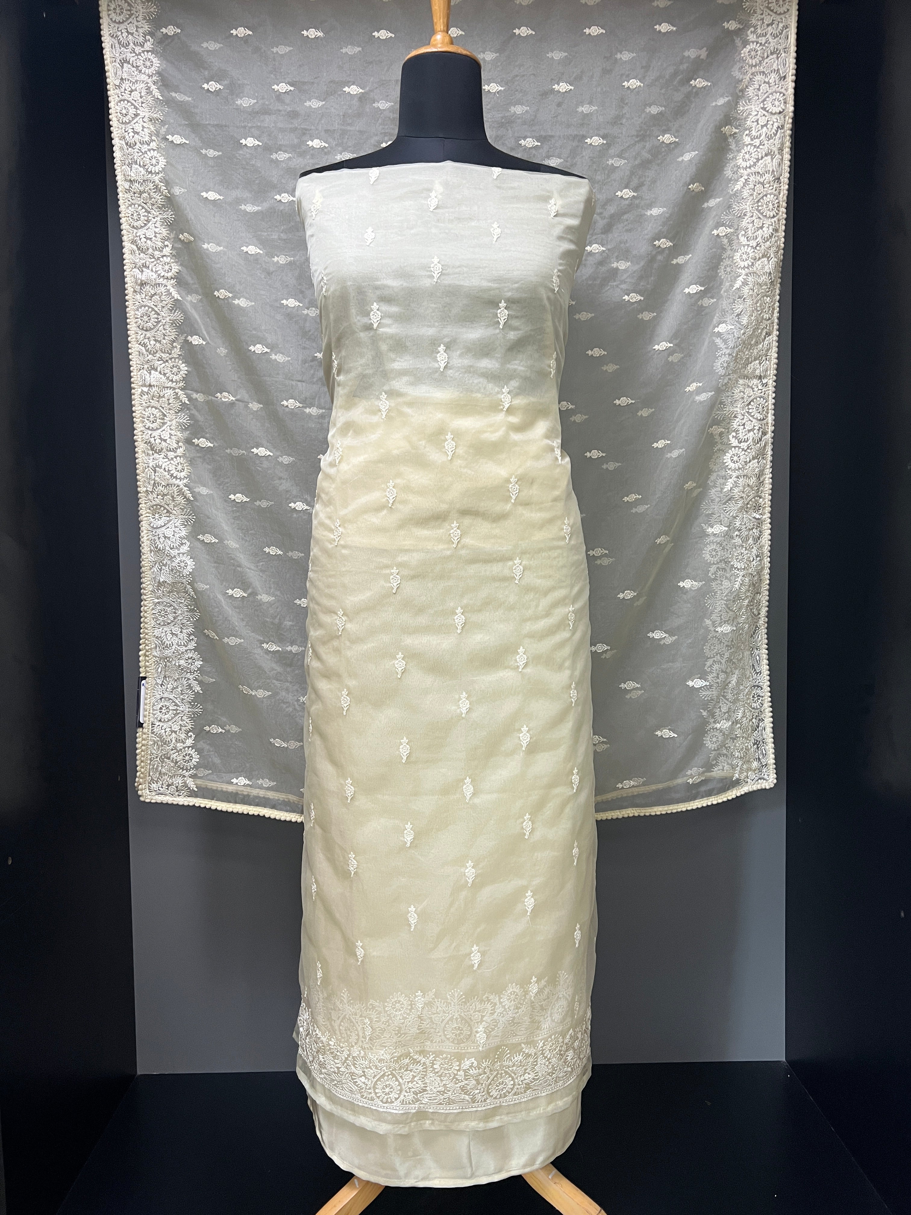 Machine Embroidery Silk Organza Salwar Set | ZAH124