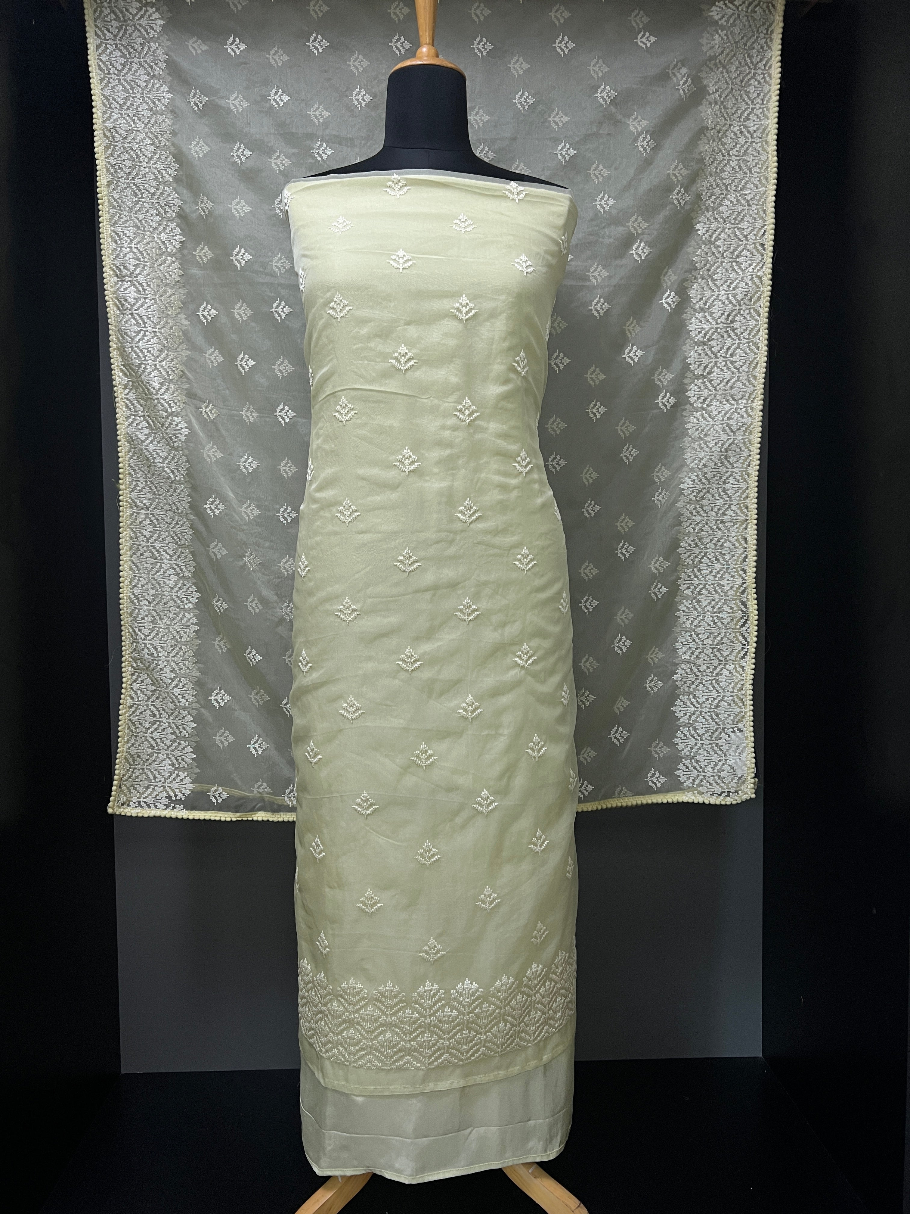 Machine Embroidery Silk Organza Salwar Set  | ZAH127