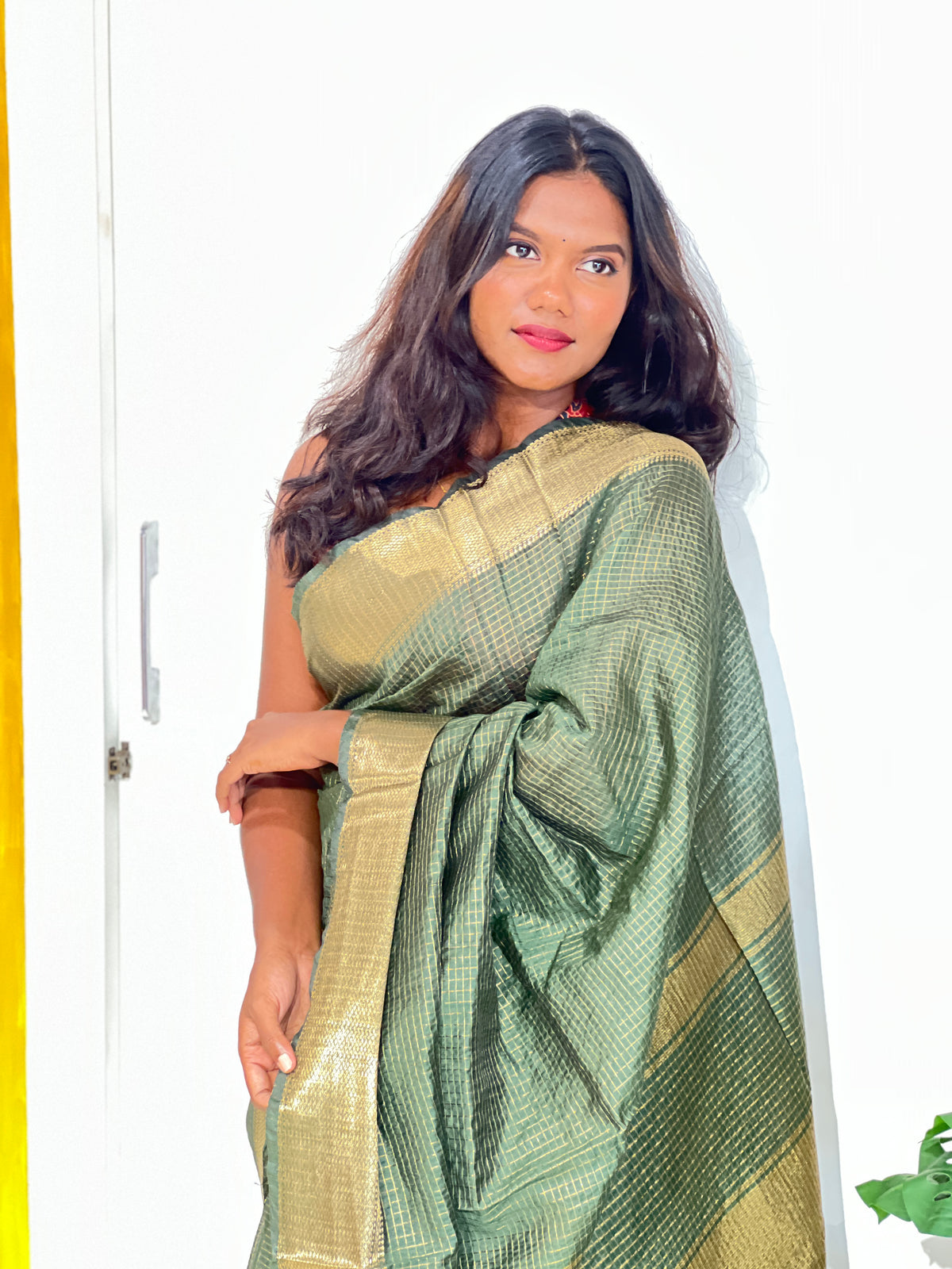 Check Pattern Bhagalpuri Linen Saree | NHH649